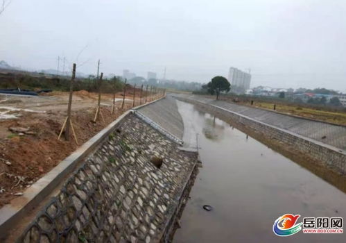 汭羅市弼時鎮 白沙河治理顯成效，水環境煥發新生
