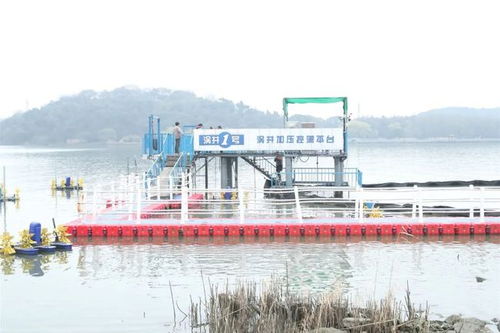 省領導深入濱湖調研水污染防治工作 科學施策，全域共建綠色生態屏障