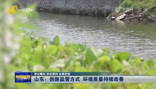 濟寧聯合執法顯成效 南四湖流域優良水體比例達97.2%，水污染治理再譜新篇