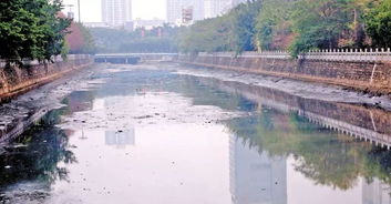 守護碧水清流，寶安在行動——水污染治理成效紀實