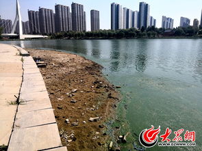 趙王河污染治理與水資源調配的雙重挑戰