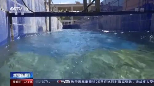 一泓清水入黃河 看汾河治理如何實現同一戰場打贏水污染兩場戰役
